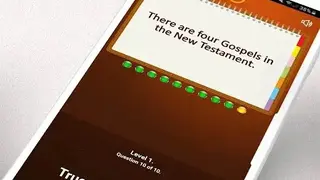 True or False? – Bible Games screenshot