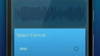 True Voice Recorder screenshot