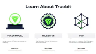 Truebit screenshot