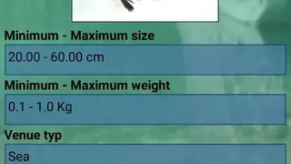 TrueFish screenshot