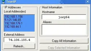 TrueIP screenshot