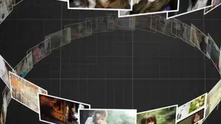 TSF Gallery Widget screenshot