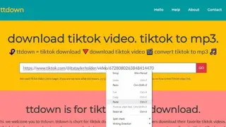TTDown screenshot