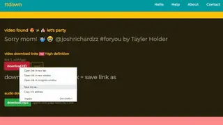 TTDown screenshot