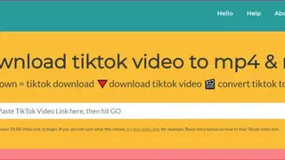 TTDown screenshot