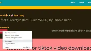 TTDown screenshot