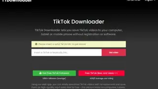 TTDownloader screenshot