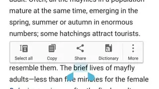TTS Reader screenshot