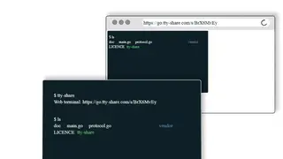 Tty-share screenshot