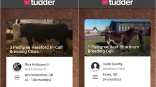Tudder screenshot