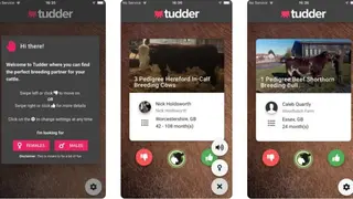 Tudder screenshot