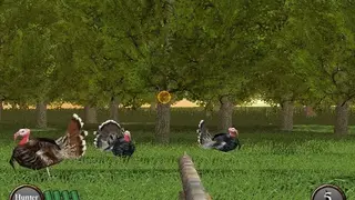Turkey Hunter 3D screenshot