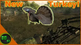 Turkey Hunter 3D screenshot