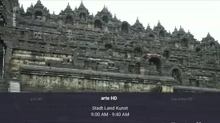 TV Mosaic screenshot