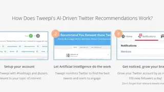 Tweepi screenshot