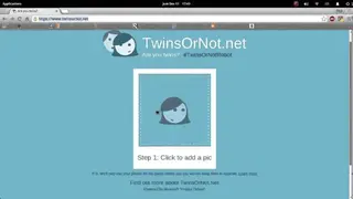 Twins or Not screenshot