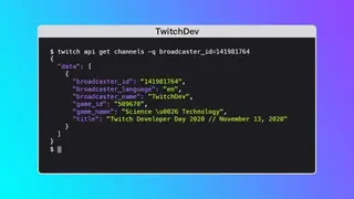 Twitch API screenshot