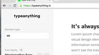 Type Anything screenshot