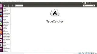 TypeCatcher screenshot
