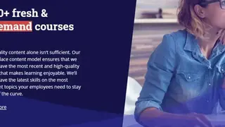 Udemy for Business screenshot