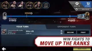 UFC screenshot