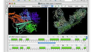 UGENE screenshot