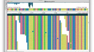 UGENE screenshot