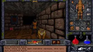 Ultima Underworld 1+2 screenshot
