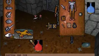 Ultima Underworld: The Stygian Abyss screenshot