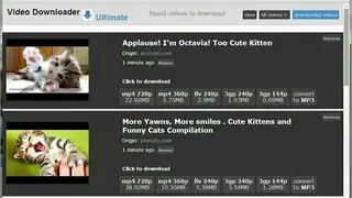 Ultimate video downloader screenshot