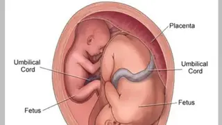 Ultrasound Guide screenshot