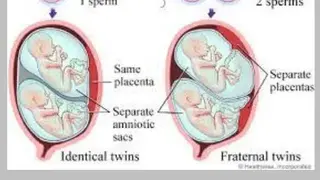 Ultrasound Guide screenshot