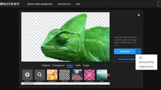 Unscreen screenshot