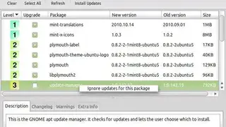 Update Manager screenshot