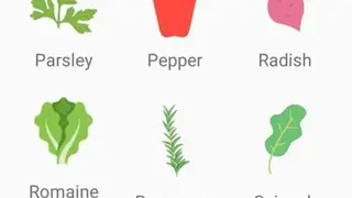 Urban veggie garden screenshot