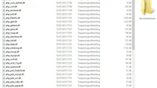 USBWebserver screenshot