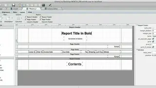 Valentina Reports screenshot