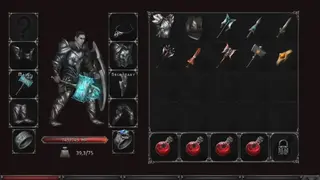 Vampire’s Fall: Origins RPG screenshot