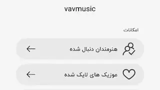 VavMusic screenshot