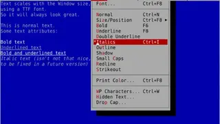 vDOS screenshot