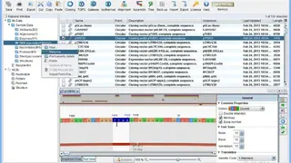 VectorFriends screenshot