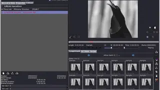 Veejay screenshot