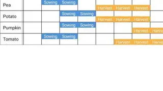 Veggie Garden Planner screenshot