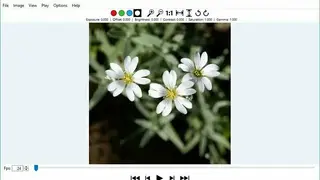 Veneta Viewer screenshot