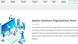 Veracode screenshot