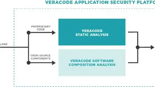 Veracode Application Security Platform screenshot