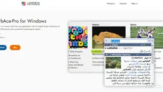 VerbAce screenshot