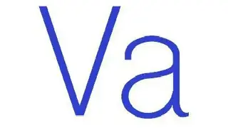 Versionista screenshot