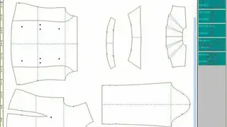Vetigraph screenshot