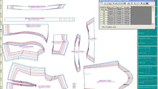 Vetigraph screenshot